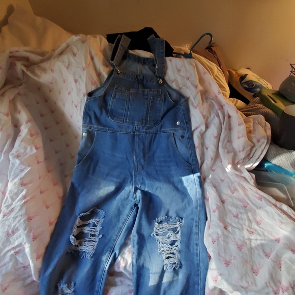 Overalls - Picture 2 of 4